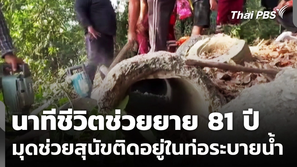 เปิดคลิปนาทีชีวิตช่วยยายวัย 81 ปี มุดช่วยสุนัขติดอยู่ในท่อระบายน้ำ