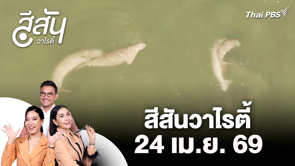 สีสันวาไรตี้ (24 เม.ย. 69)
