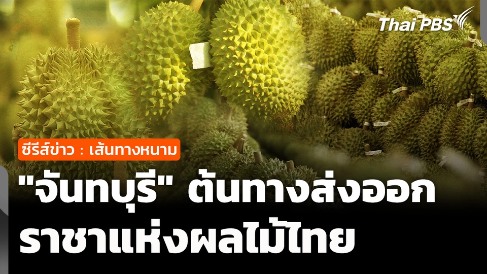 ซีรีส์ข่าว เส้นทางหนาม ตอนที่ 1 : "จันทบุรี" ต้นทางส่งออก "ราชาผลไม้ไทย"