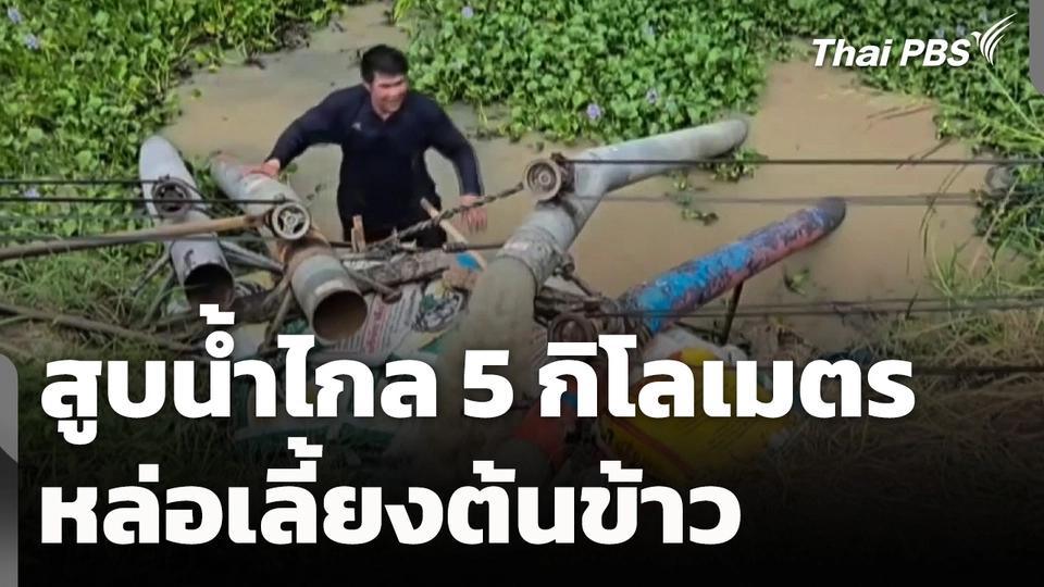 ฝนทิ้งช่วง! สูบน้ำไกล 5 กิโลเมตร หล่อเลี้ยงต้นข้าว จ.นครสวรรค์