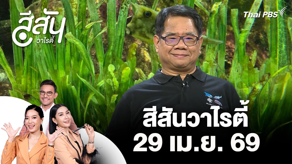 สีสันวาไรตี้ (29 เม.ย. 69)