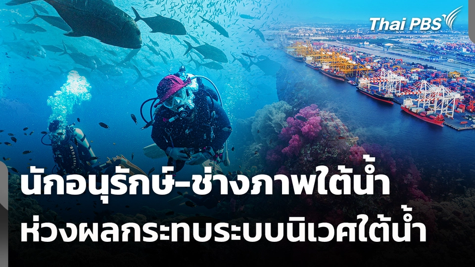 นักอนุรักษ์-ช่างภาพใต้น้ำ ห่วงผลกระทบระบบนิเวศใต้น้ำ 
