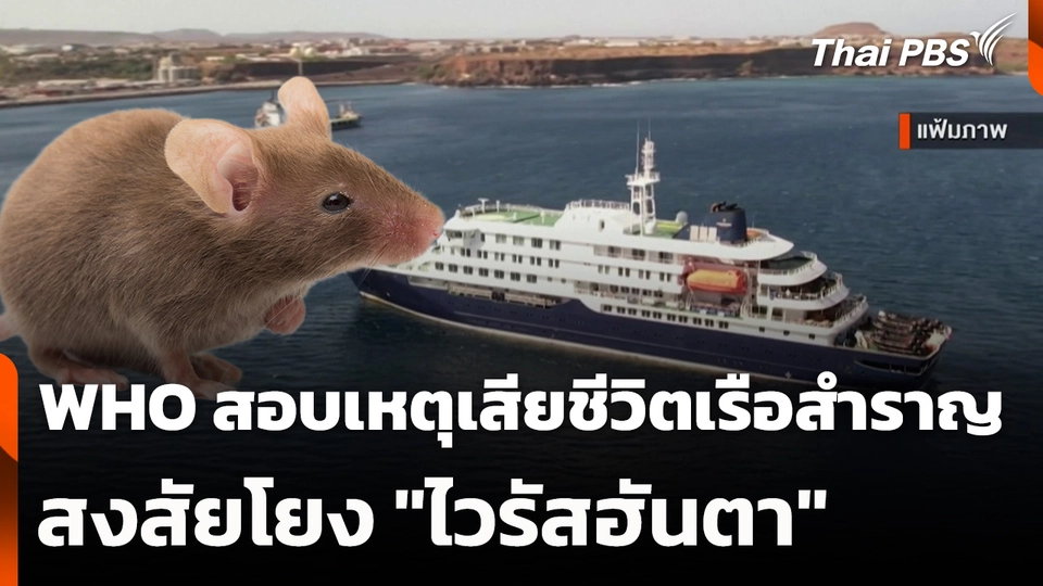 WHO สอบเหตุเสียชีวิตเรือสำราญสงสัยโยง "ไวรัสฮันตา"