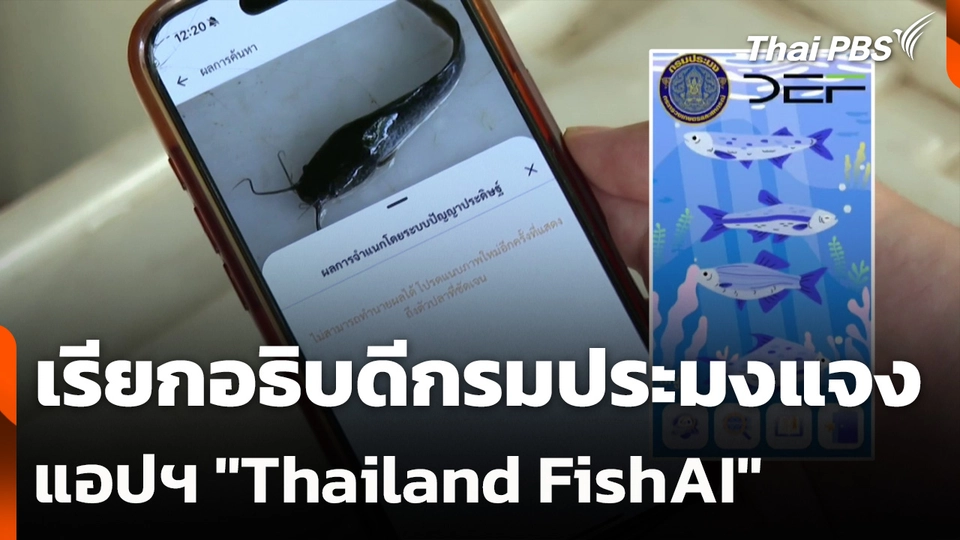 เรียกอธิบดีกรมประมงแจง แอปฯ "Thailand FishAI"