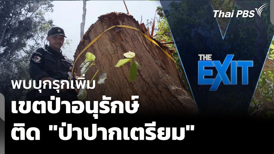 พบบุกรุกเพิ่ม เขตป่าอนุรักษ์ติด "ป่าปากเตรียม" 