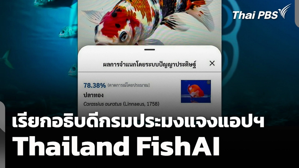 เรียกอธิบดีกรมประมงแจง แอปฯ "Thailand FishAI"