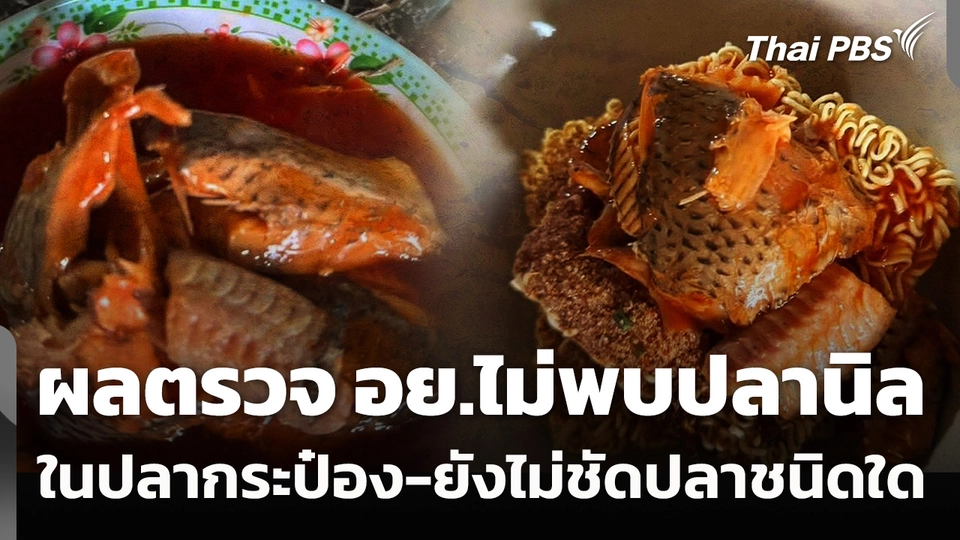 ผลตรวจ อย. "ไม่พบปลานิล" ในปลากระป๋อง