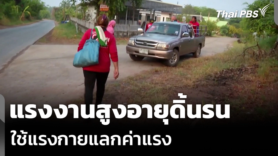 แรงงานสูงอายุดิ้นรน ใช้แรงกายแลกค่าแรง
