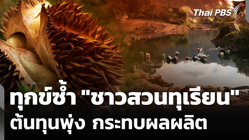 ทุกข์ซ้ำ! "ชาวสวนทุเรียน" ต้นทุนพุ่ง กระทบผลผลิต