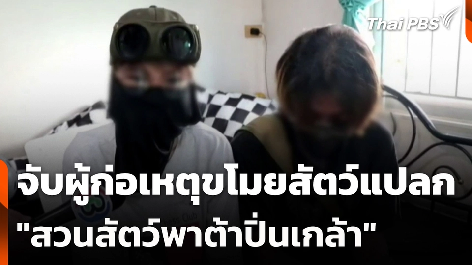 จับผู้ก่อเหตุขโมยสัตว์แปลก "สวนสัตว์พาต้าปิ่นเกล้า"