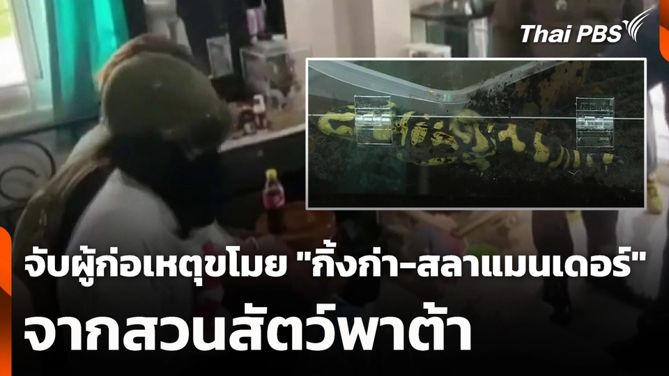 จับผู้ก่อเหตุขโมย "กิ้งก่าจระเข้จีน-สลาแมนเดอร์" จากสวนสัตว์พาต้า