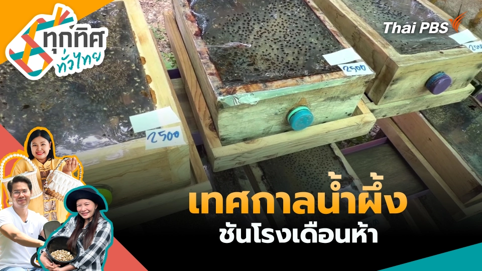 เทศกาลน้ำผึ้งชันโรงเดือนห้า