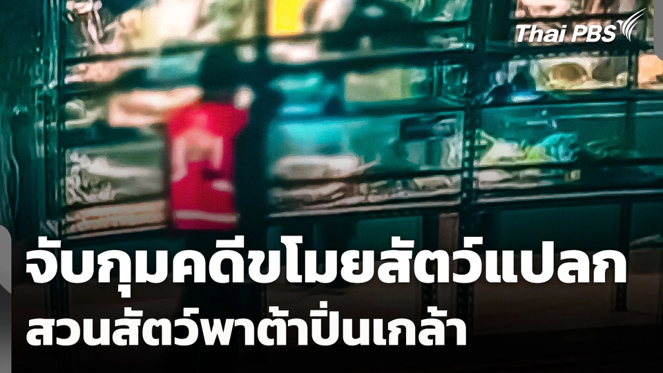 จับกุมคดีขโมยสัตว์แปลก "สวนสัตว์พาต้าปิ่นเกล้า"