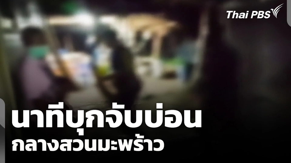 นาทีบุกจับบ่อนกลางสวนมะพร้าว รวบนักพนันนับร้อย