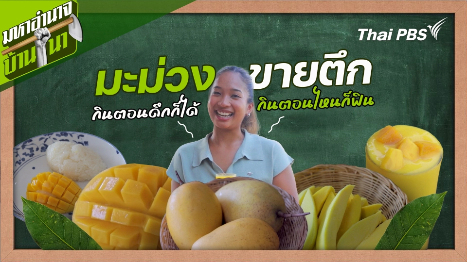 สูตรลับฉบับบ้านนา : มะม่วงขายตึก...กินตอนดึกก็ได้ กินตอนไหนก็ฟิน