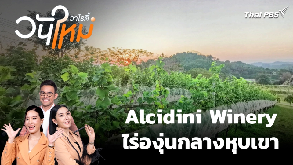 Alcidini Winery ไร่องุ่นกลางหุบเขา