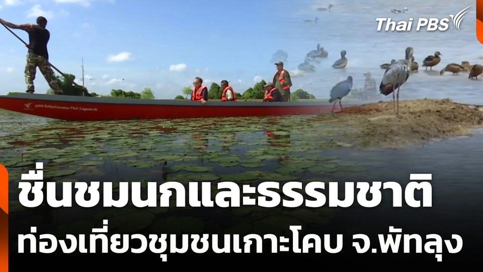 ชื่นชมนกและธรรมชาติ ท่องเที่ยวชุมชนเกาะโคบ จ.พัทลุง