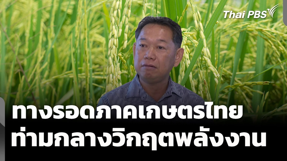 ทางรอดภาคเกษตรไทย ท่ามกลางวิกฤตพลังงาน