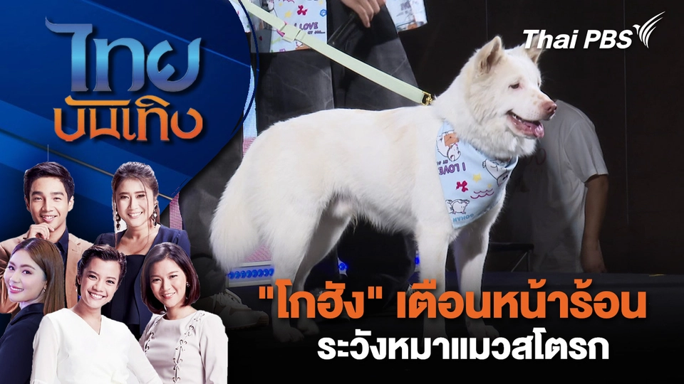 "โกฮัง" เตือนหน้าร้อนระวังหมาแมวสโตรก | ไทยบันเทิง | 10 เม.ย. 69