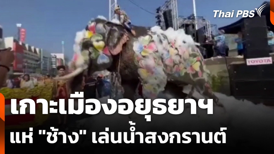 เกาะเมืองอยุธยาฯ แห่ "ช้าง" เล่นน้ำสงกรานต์