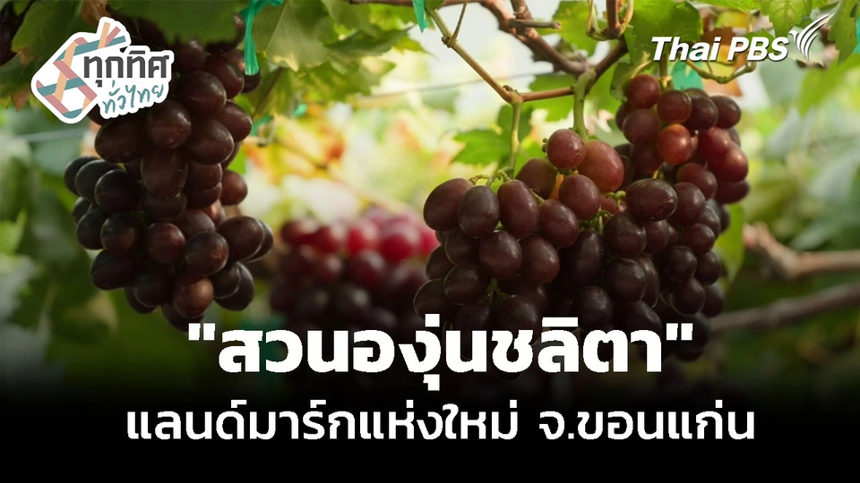 "สวนองุ่นชลิตา" แลนด์มาร์กใหม่ จ.ขอนแก่น