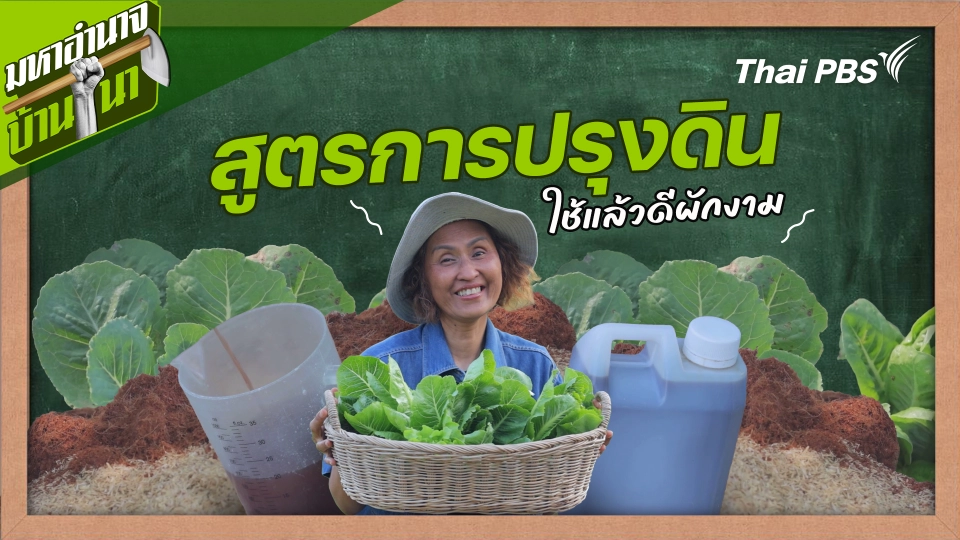 สูตรลับฉบับบ้านนา : สูตรการปรุงดิน ใช้แล้วดีผักงาม