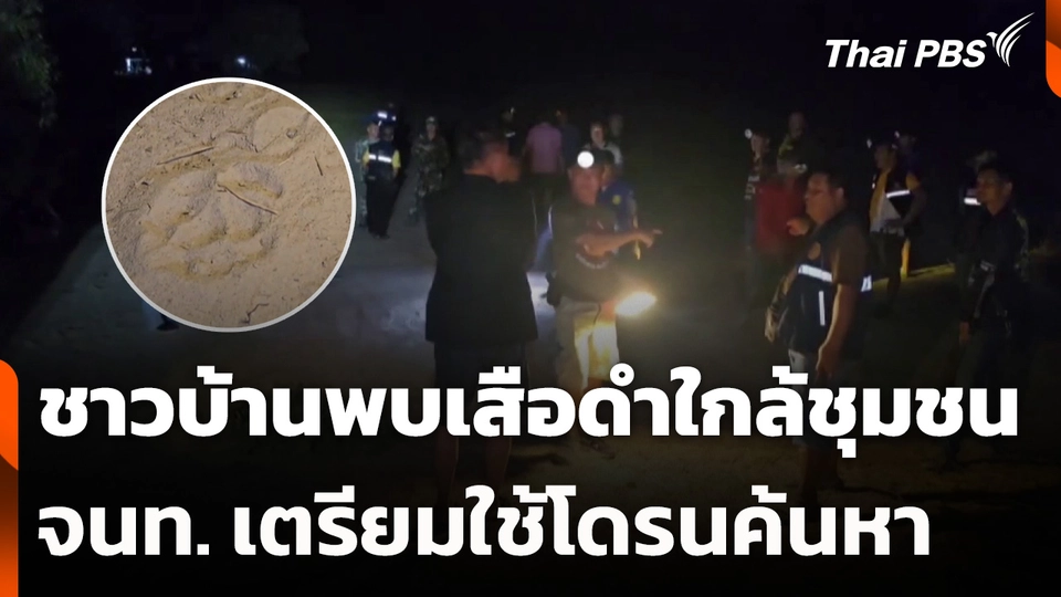 ชาวบ้านพบเสือดำใกล้ชุมชน เตรียมใช้โดรนค้นหา