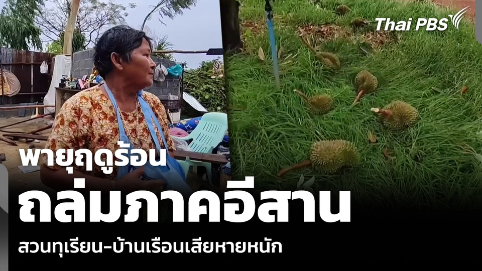 พายุฤดูร้อน ถล่มภาคอีสาน สวนทุเรียน-บ้านเรือนเสียหายหนัก