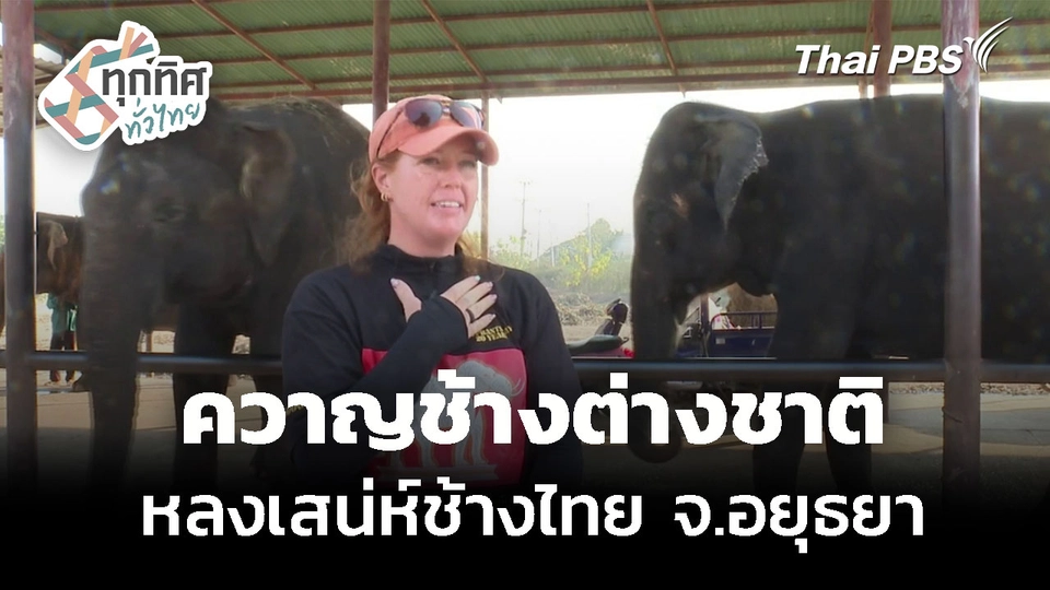 ควาญช้างต่างชาติ หลงเสน่ห์ช้างไทย