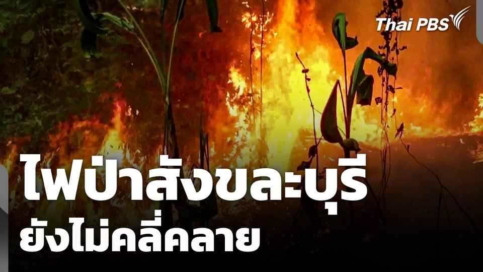 ไฟป่าสังขละบุรียังไม่คลี่คลาย