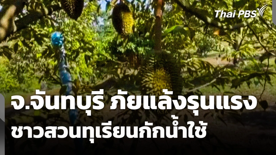 ภัยแล้งรุนแรง ชาวสวนทุเรียนกักน้ำใช้ จ.จันทบุรี 