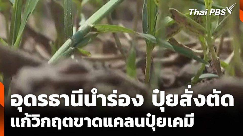 อุดรธานีนำร่อง ปุ๋ยสั่งตัด แก้วิกฤตขาดแคลนปุ๋ยเคมี