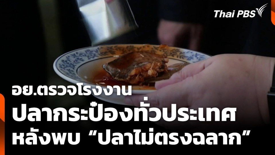 อย.ตรวจโรงงานปลากระป๋องทั่วประเทศ หลังพบ “ปลาไม่ตรงฉลาก”