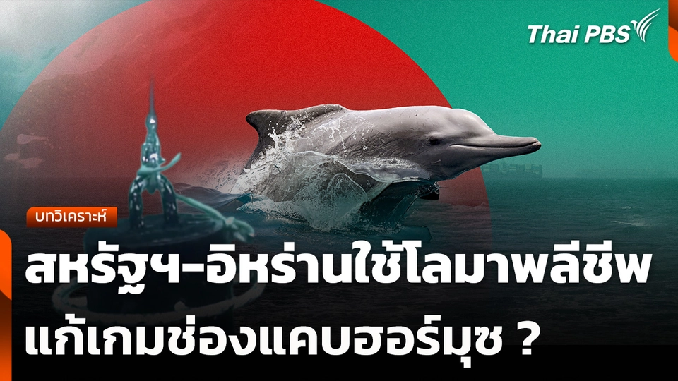บทวิเคราะห์ : สหรัฐฯ-อิหร่านใช้โลมาพลีชีพแก้เกมช่องแคบฮอร์มุซ ?