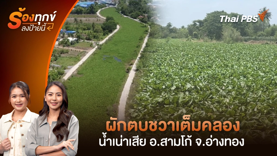 ผักตบชวาเต็มคลอง น้ำเน่าเสีย อ.สามโก้ จ.อ่างทอง