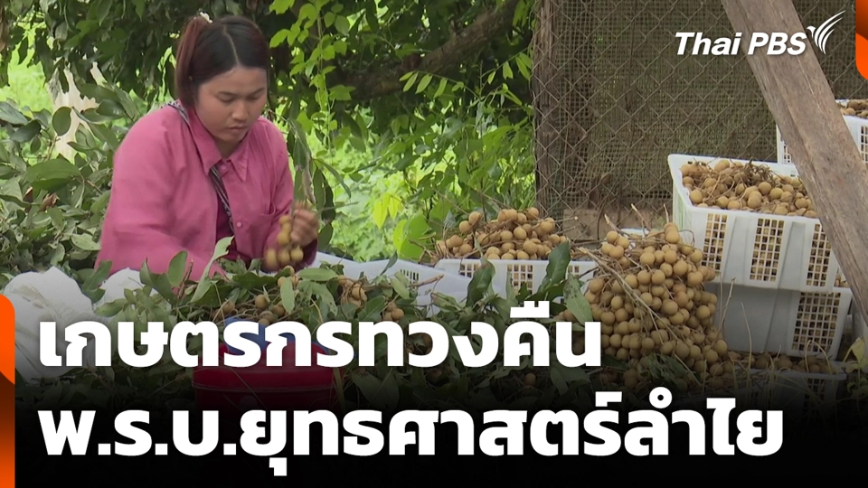 เกษตรกรทวงคืน พ.ร.บ.ยุทธศาสตร์ลำไย