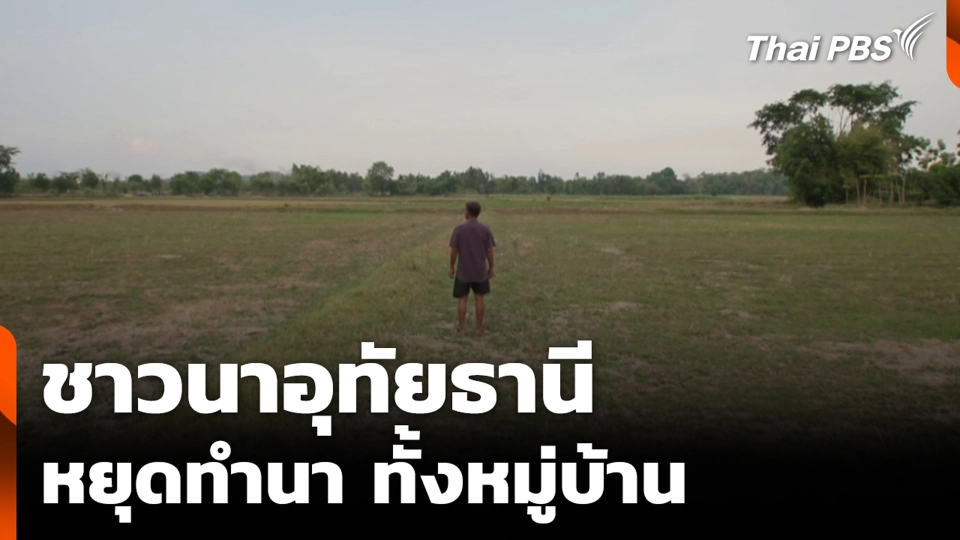 ชาวนาอุทัยธานี หยุดทำนาทั้งหมู่บ้าน