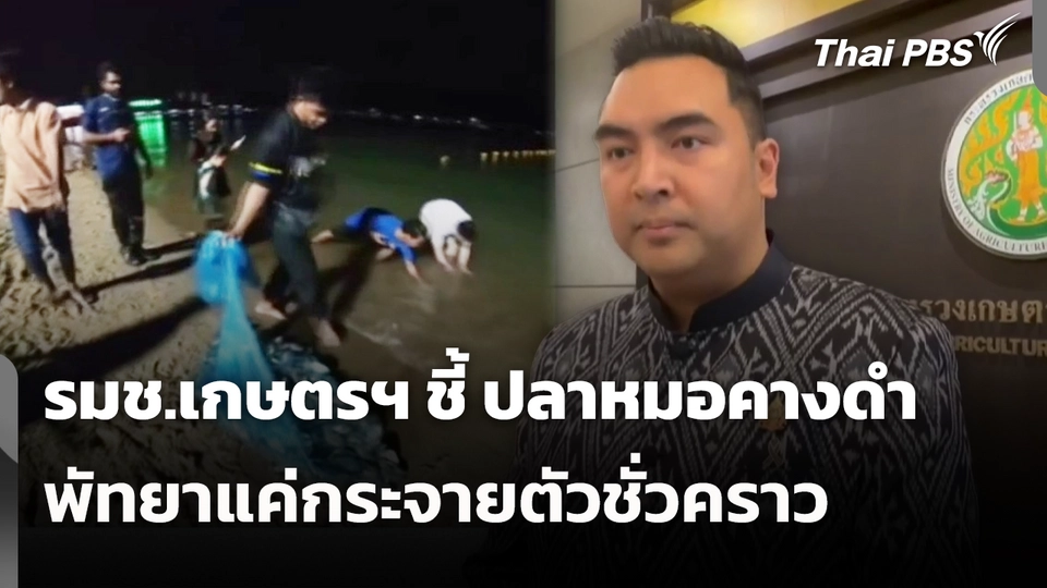 รมช.เกษตรฯ ชี้ "ปลาหมอคางดำ" พัทยาแค่กระจายตัวชั่วคราว