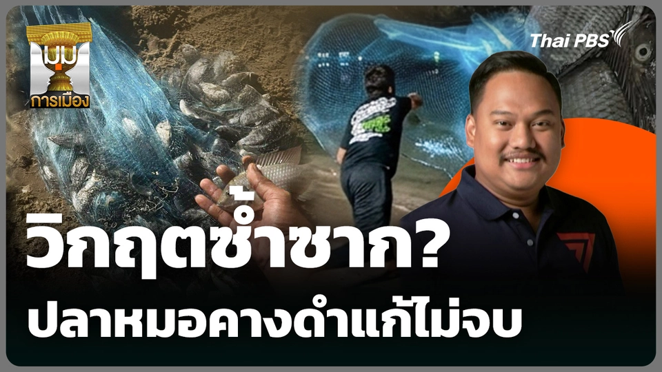 วิกฤตซ้ำซาก? ปลาหมอคางดำแก้ไม่จบ