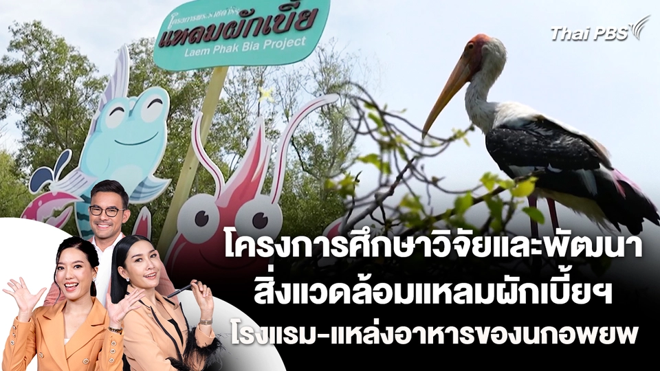 โครงการศึกษาวิจัยและพัฒนาสิ่งแวดล้อมแหลมผักเบี้ยฯ เป็นโรงแรม-แหล่งอาหารของนกอพยพ