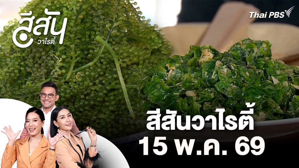 สีสันวาไรตี้ (15 พ.ค. 69)