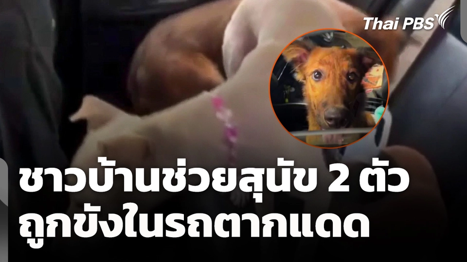 ชาวบ้านช่วยสุนัข 2 ตัว ถูกขังในรถตากแดด