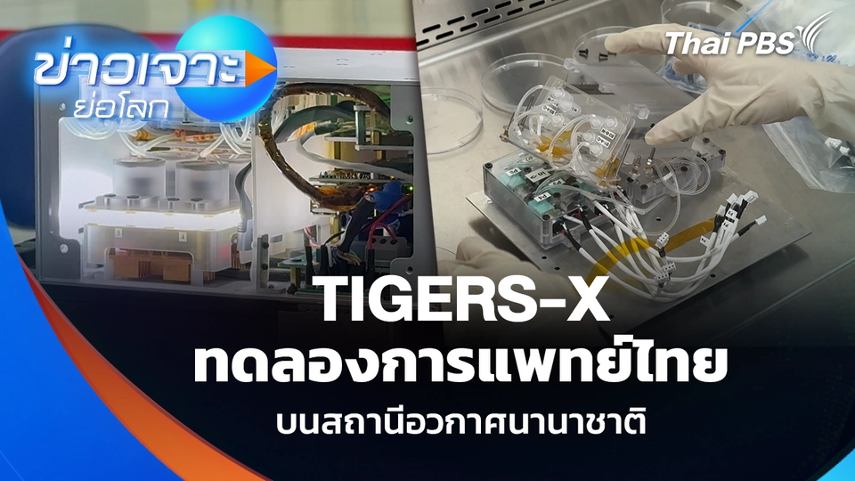 TIGERS-X ทดลองการแพทย์ไทย บนสถานีอวกาศนานาชาติ