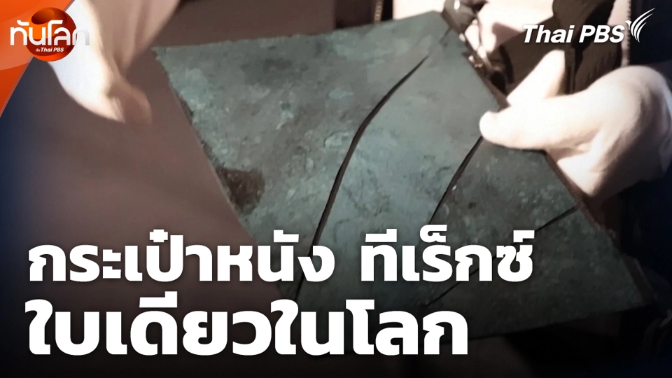 กระเป๋าหนัง ทีเร็กซ์ ใบเดียวในโลก
