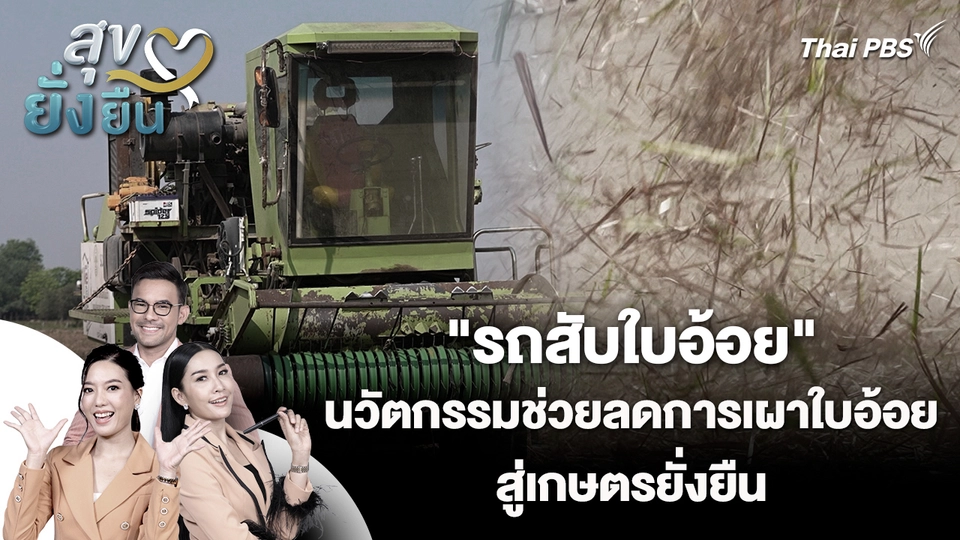 สุขยั่งยืน : "รถสับใบอ้อย" นวัตกรรมช่วยลดการเผาใบอ้อย สู่เกษตรยั่งยืน