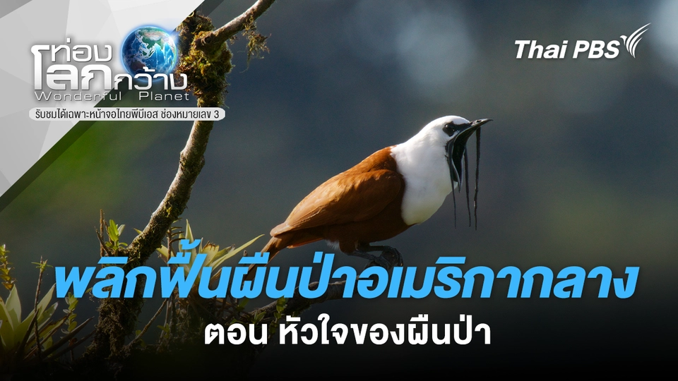 ท่องโลกกว้าง