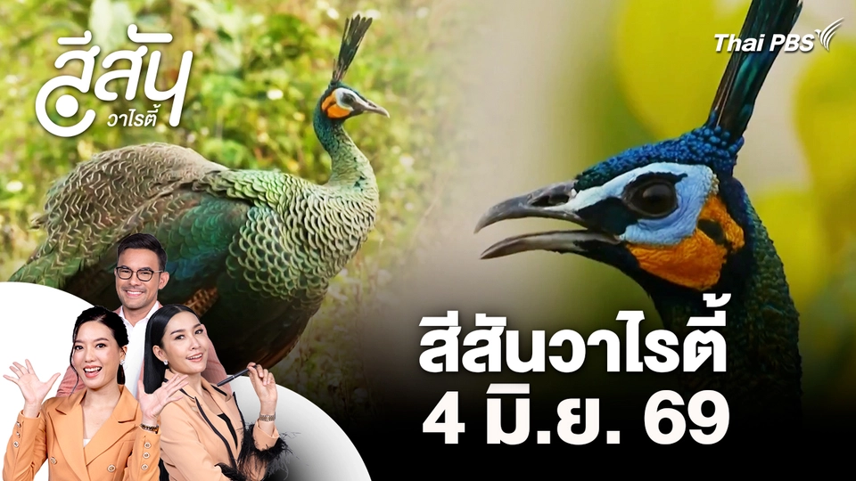 สีสันวาไรตี้ (4 มิ.ย. 69)
