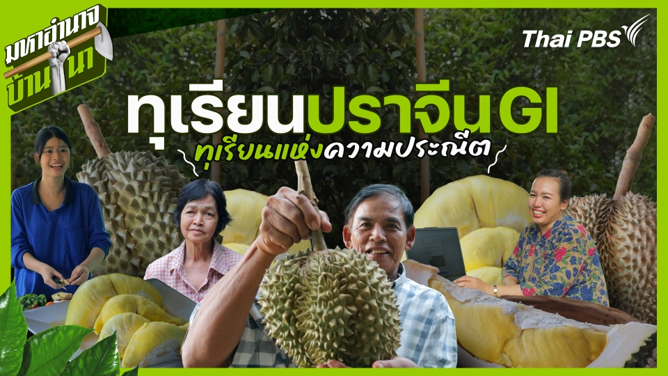 มหาอำนาจบ้านนา
