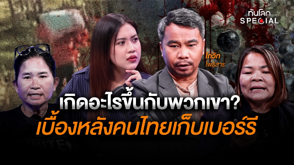 เกิดอะไรขึ้นกับพวกเขา? เบื้องหลังคนไทยเก็บเบอร์รี