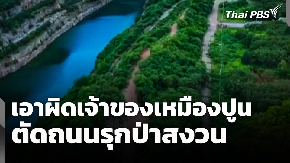เอาผิดเจ้าของเหมืองปูน ตัดถนนรุกป่าสงวนเกือบ 2 ไร่